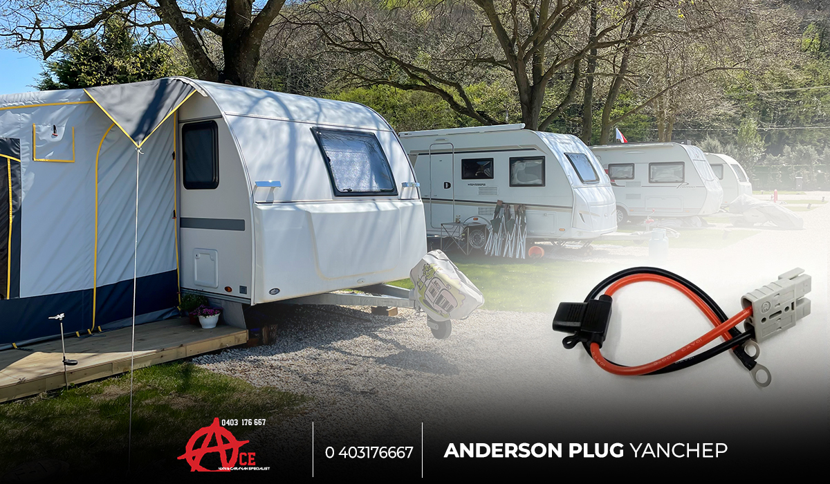 Anderson plug Yanchep